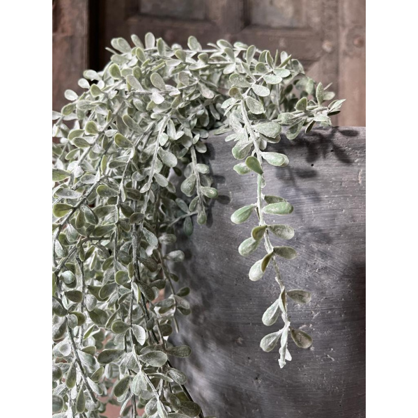 Brynxz Hanger Lonicera Small Leaf Grey 100 cm